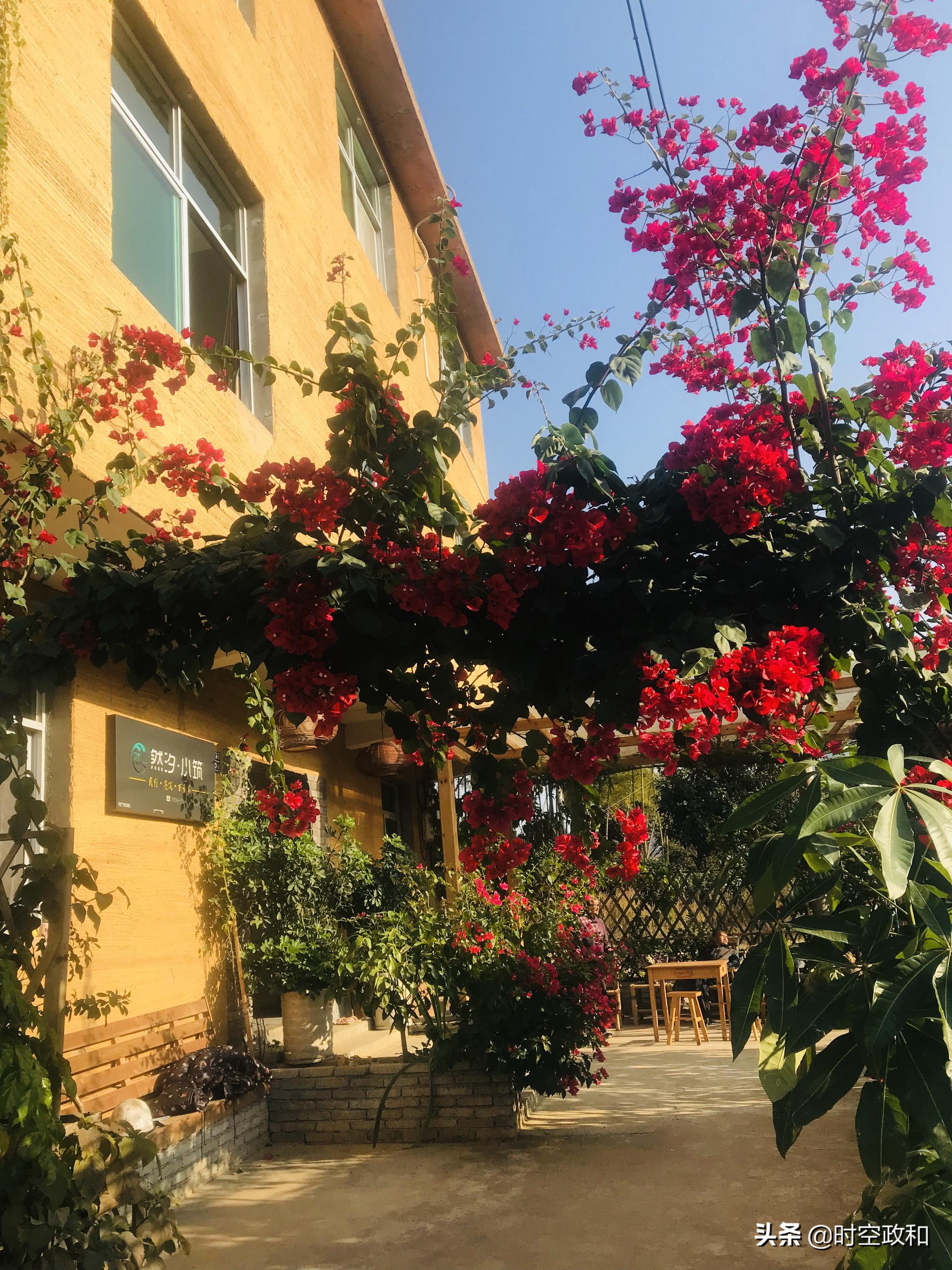 政和一批精品旅游项目在中华紫薇园授牌