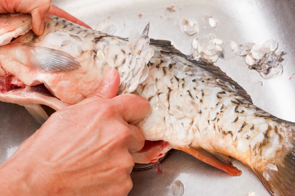 首先给鱼放血,市场上买鱼的时候,商家会帮我们去鱼腥,把鱼杀好了.