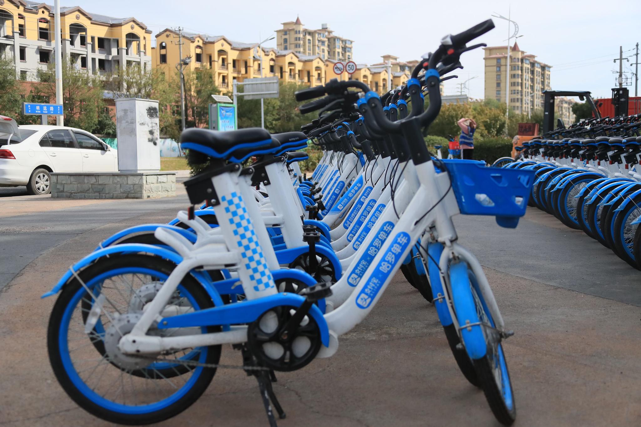 今年上半年,社区团购业务"哈啰惠生活"陆续在山东淄博,潍坊上线,由