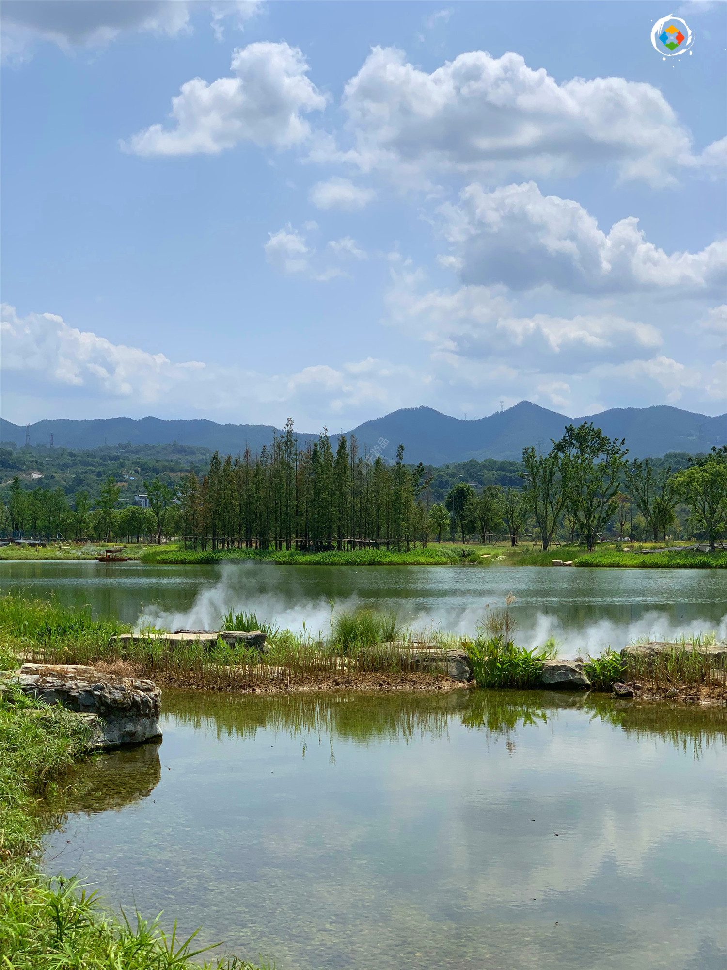 重庆广阳岛的昙花一现仅开放3个月却成功入选国家级创新基地