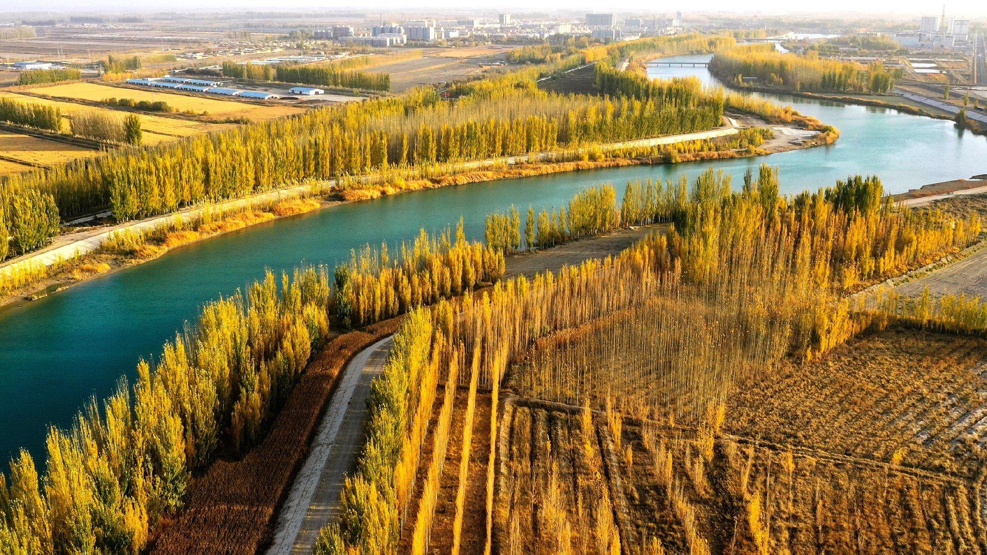 新疆博湖:开都河畔醉金秋|新疆|博湖|河畔_新浪新闻