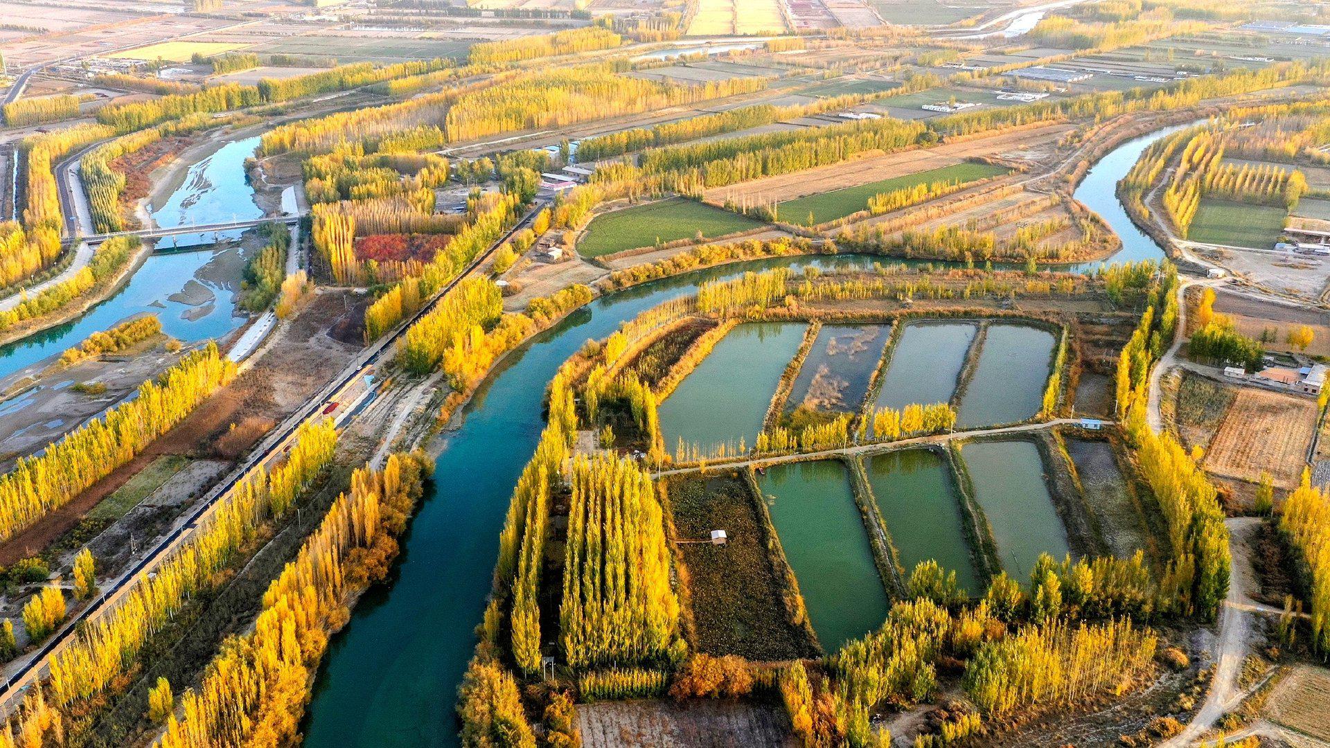 新疆博湖:开都河畔醉金秋|新疆|博湖|河畔_新浪新闻