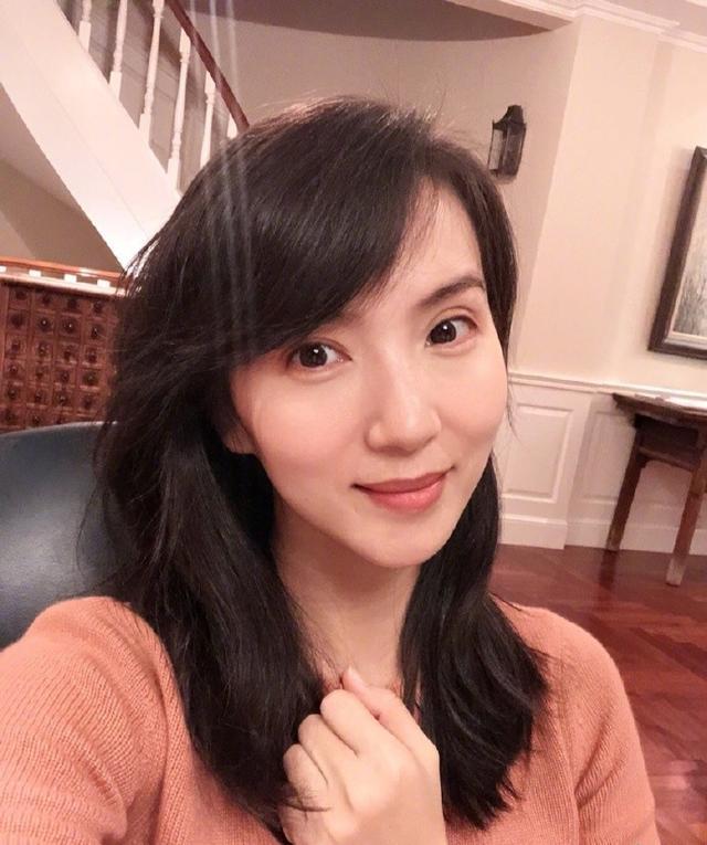 陈好为什么是香港人 陈好出道即是巅峰的万人迷她为何突然消失了