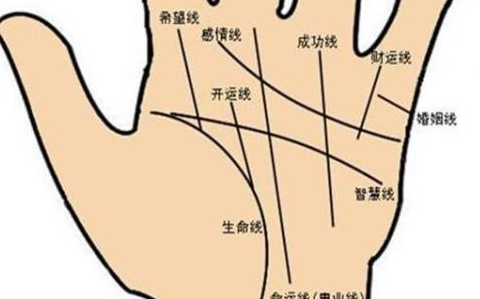 不管男女,手有"凤眼",必定是发财命,富贵难挡!