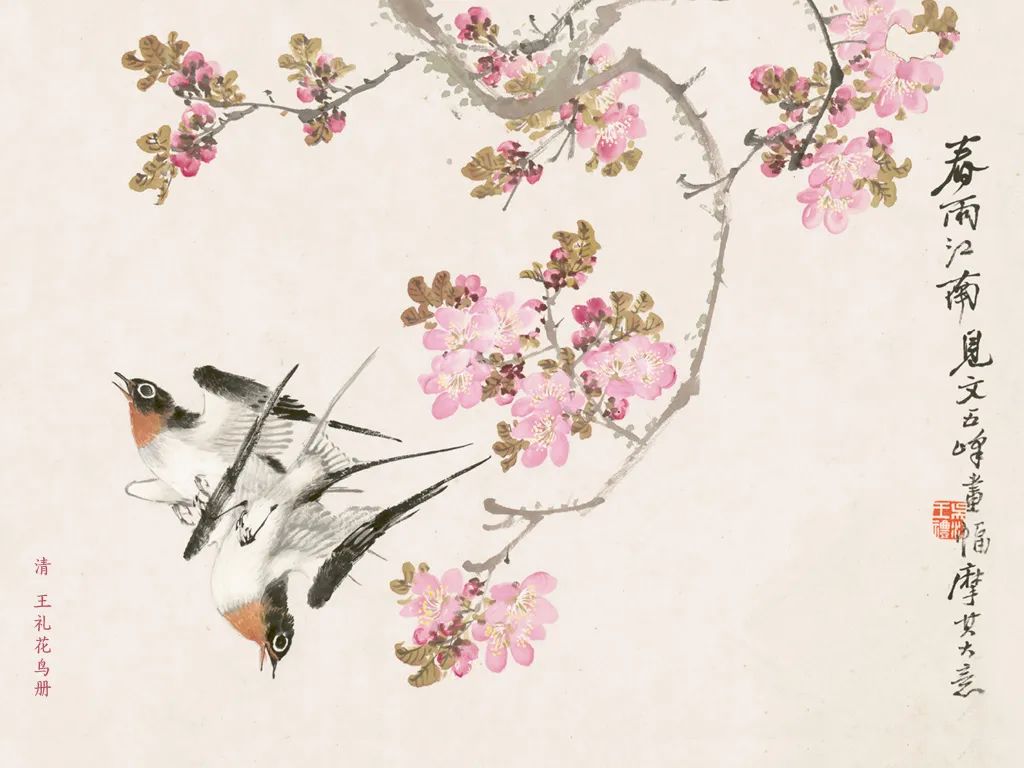 令人震惊：陌陌的各种术语到底是什么？深度解析社交黑话与功能密码