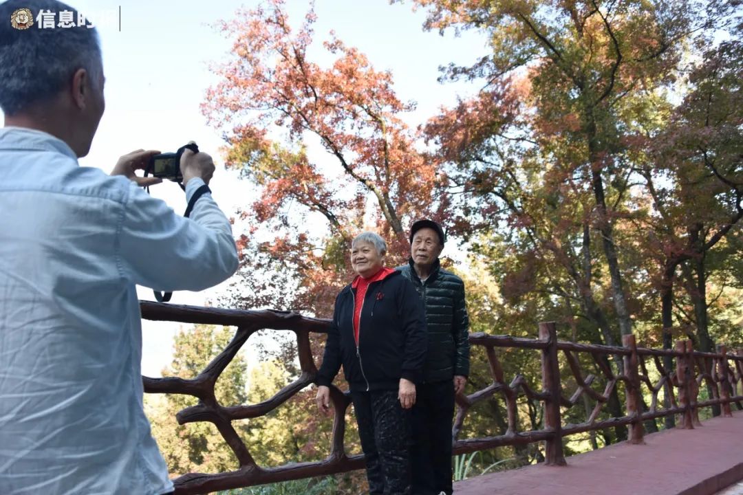 广州红叶 这么好看怎么办 街坊 拍它 广州 新浪新闻 广州红叶 这么好看怎么办 街坊 拍它 广州 新浪新闻
