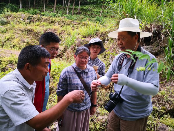 沪苏浙等地教授各显身手揭秘黄岩空心村突围的背后