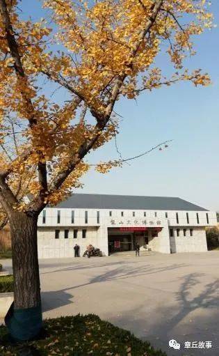 煎饼卷大葱的家乡味道,勾起我浓浓乡愁|章丘|巨野|乡愁_新浪新闻