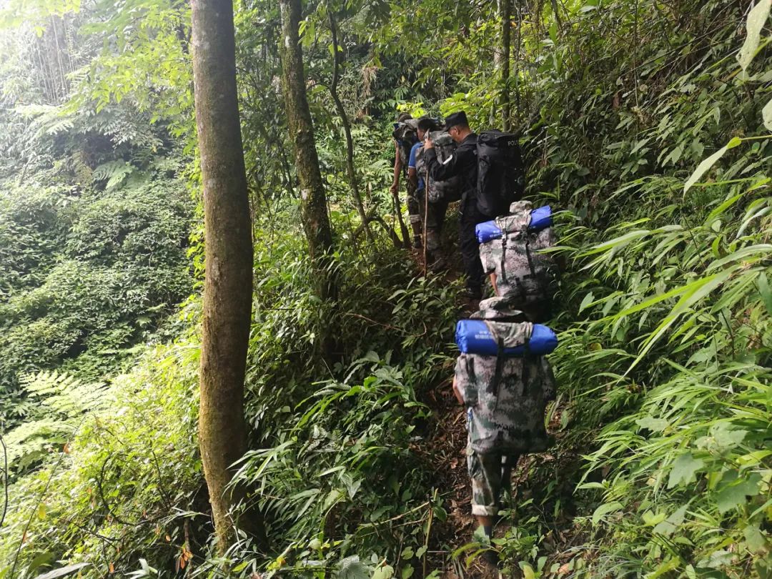 印度护林员送别大象 印度经济崛起背后原因