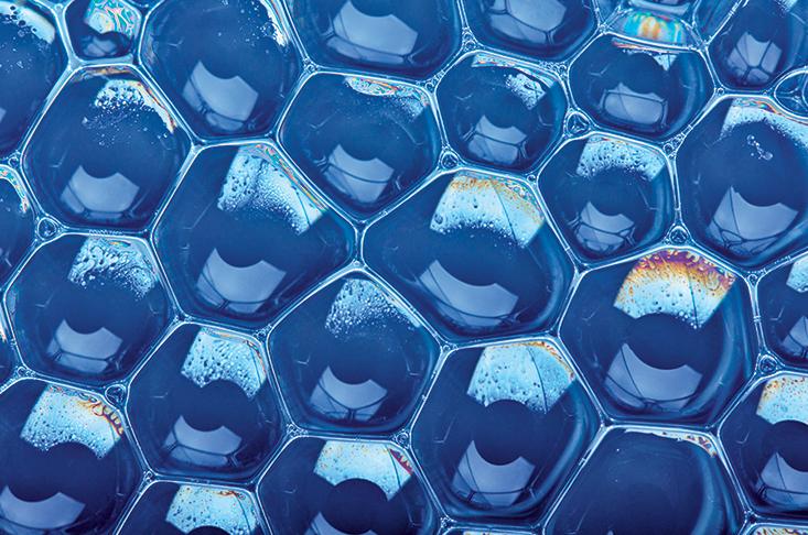 自然界为何处处是六边形 这里有深刻的数学和物理 物理 数学 新浪科技 新浪网