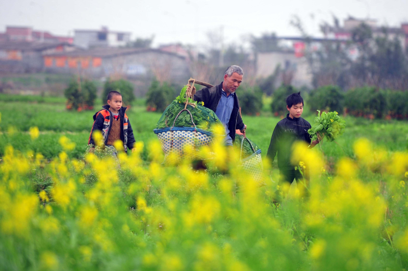 解开惠农政策无感之困：惠农政策那么多为何于我没感觉？