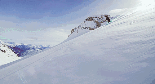 ▲ 德国拜耳公司出品的德绒，被业界称为“钻石绒”。