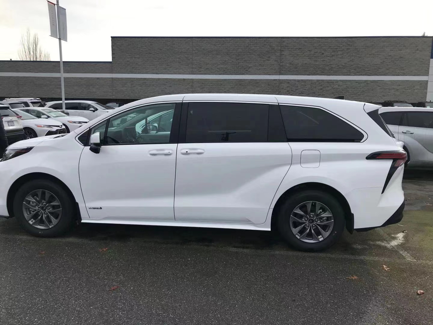 大批新款塞纳亮相港口,售46万,6缸动力 四驱,国产后会火吗