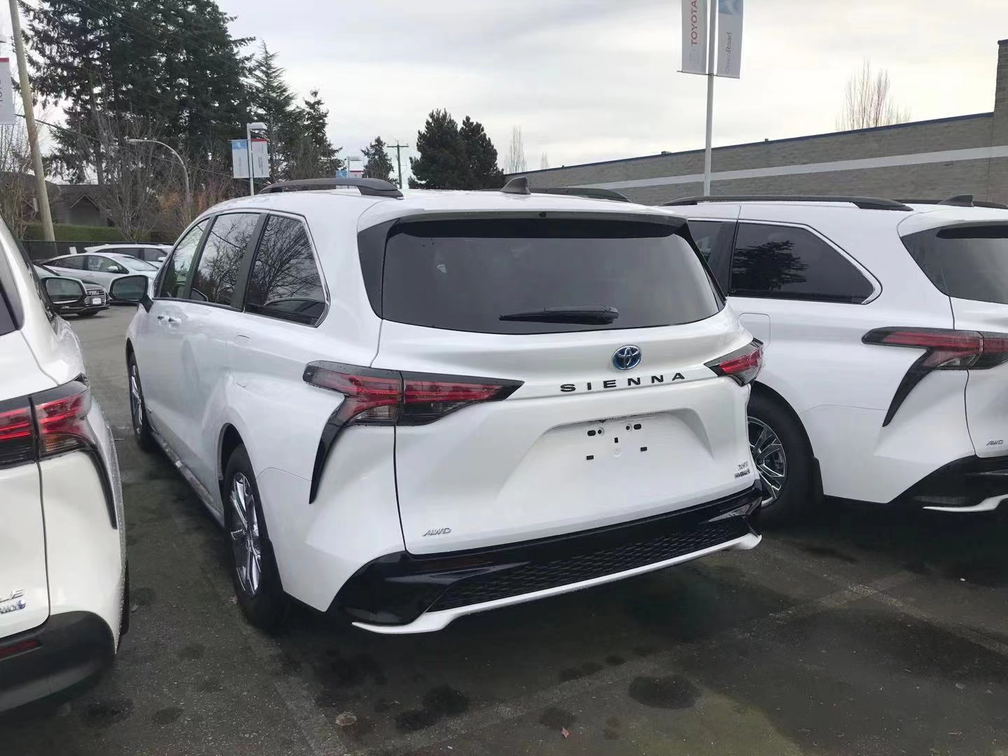 大批新款塞纳亮相港口,售46万,6缸动力 四驱,国产后会火吗