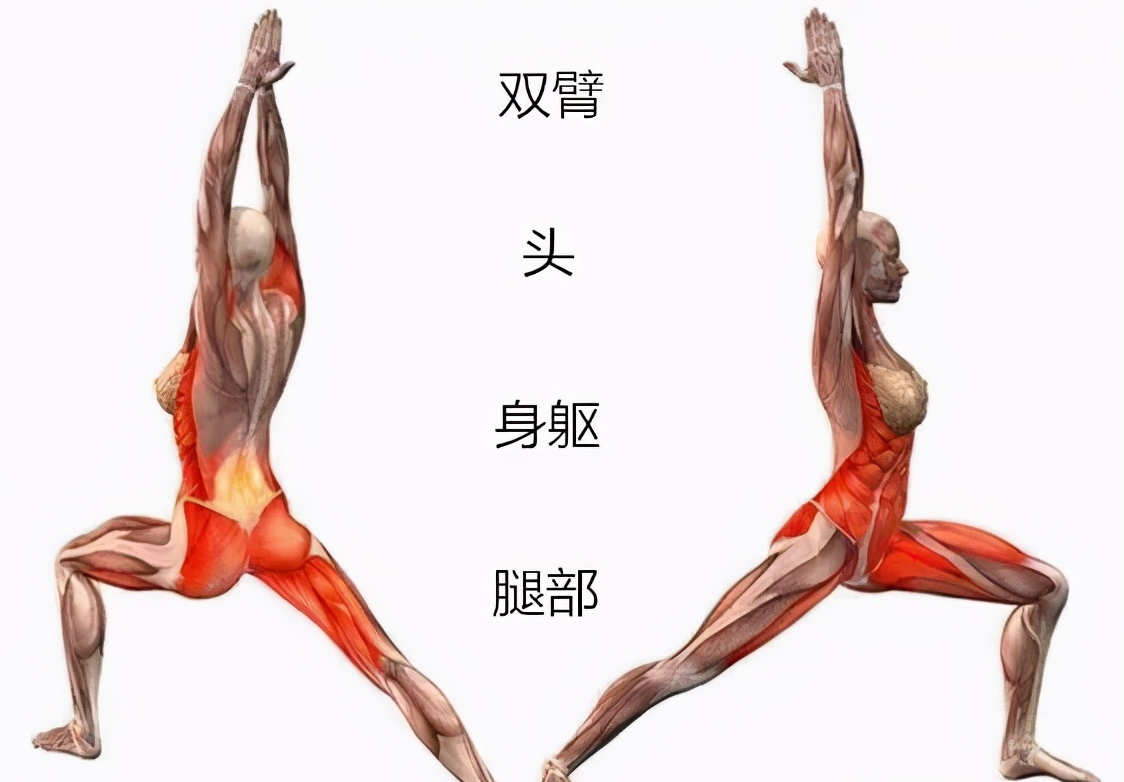 战士式简单易学效果好!要注意这4个细节,否则,伤膝盖伤大腿