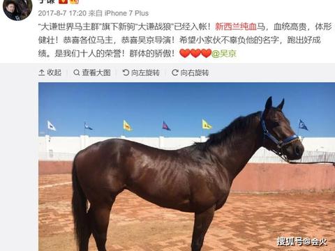 于谦养的动物价格也都不便宜,之前他曾在社交平台上晒出一匹参加比赛