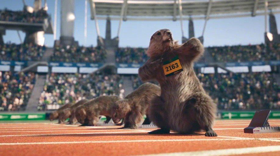 土拨鼠运动会,就是这么萌!