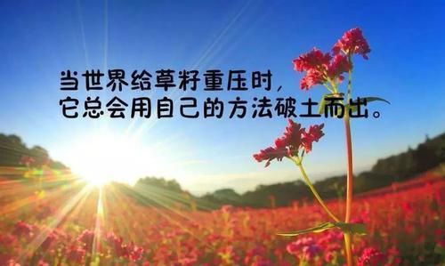 大彻大悟的治愈句子保持平常心远离混浊让心澄明