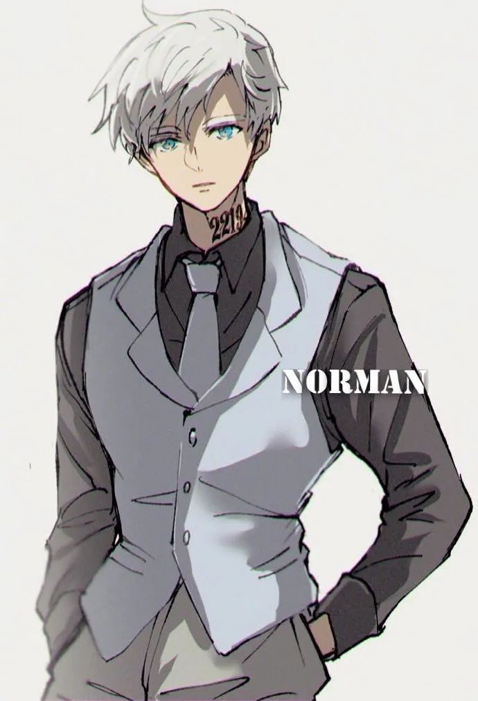 诺曼小天使这画风好帅感觉孩子长大了啊