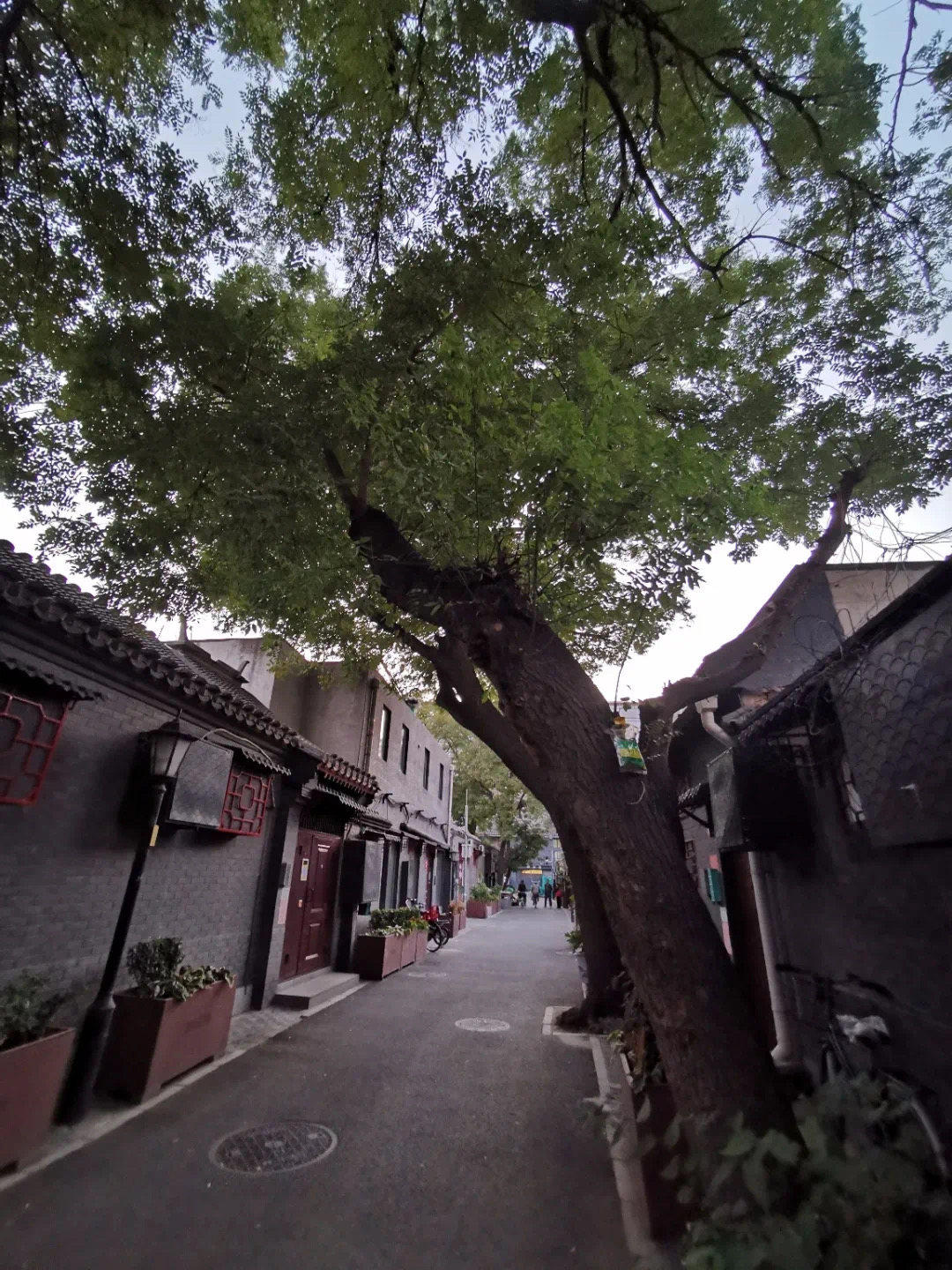 文华胡同红色胡同一步一景