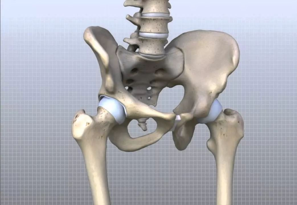 而在瑜伽练习当中,经常会听到老师强调:骨盆稳定,骨盆中立位,那一旦