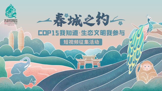 【春城之约短视频征集作品展播】飞越无量山,鸟瞰