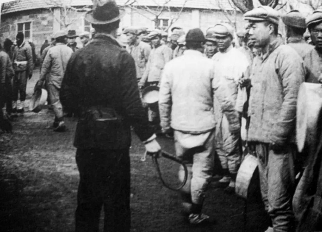 是谁打开了潘多拉魔盒——国宝熊猫的血泪史