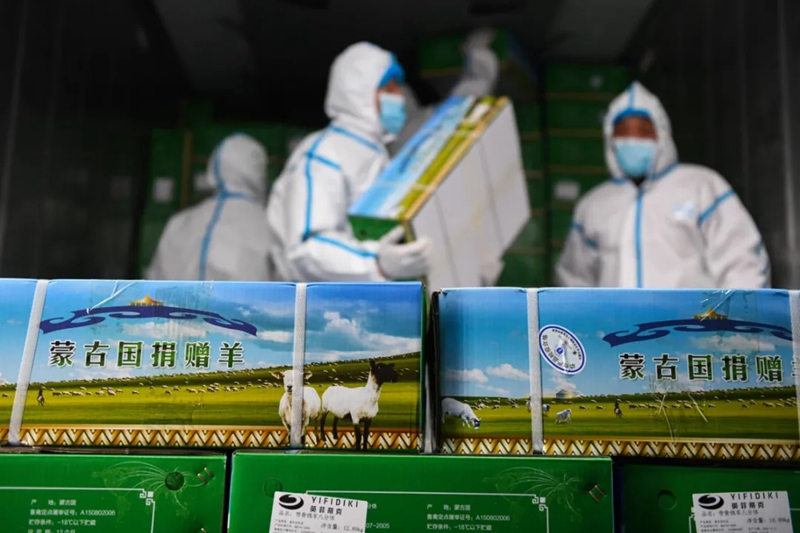  11月12日，工作人员将包装好的羊肉放入集装箱冷链车。新华社记者刘磊摄