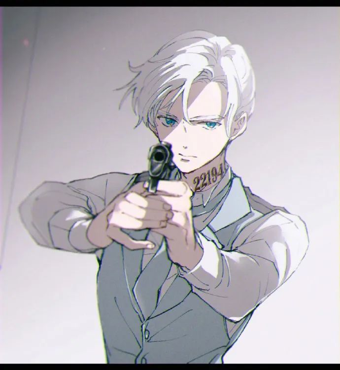 诺曼小天使这画风好帅感觉孩子长大了啊