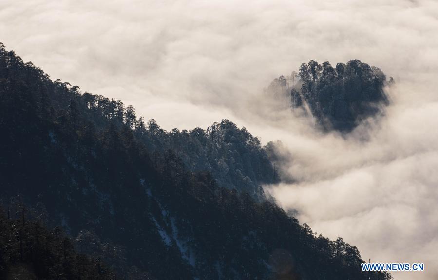 Photo taken on Dec. 10, 2020 shows clouds seen from the top of the Guangtou Mountain in Tianquan County, southwest China's Sichuan Province. (Xinhua/Jiang Hongjing)