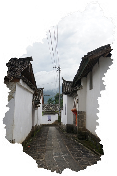 张家村:俗世烟尘里的栖息地