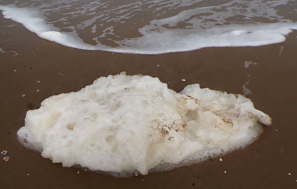 你一定见过海泡沫它有很多颜色但还有一些是你不知道的