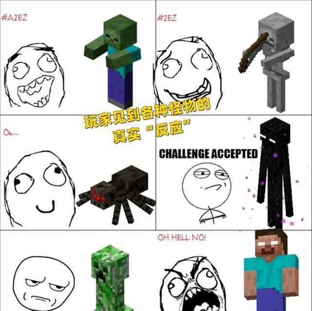 我的世界玩家见到怪物的真实反应him我是你的噩梦吗