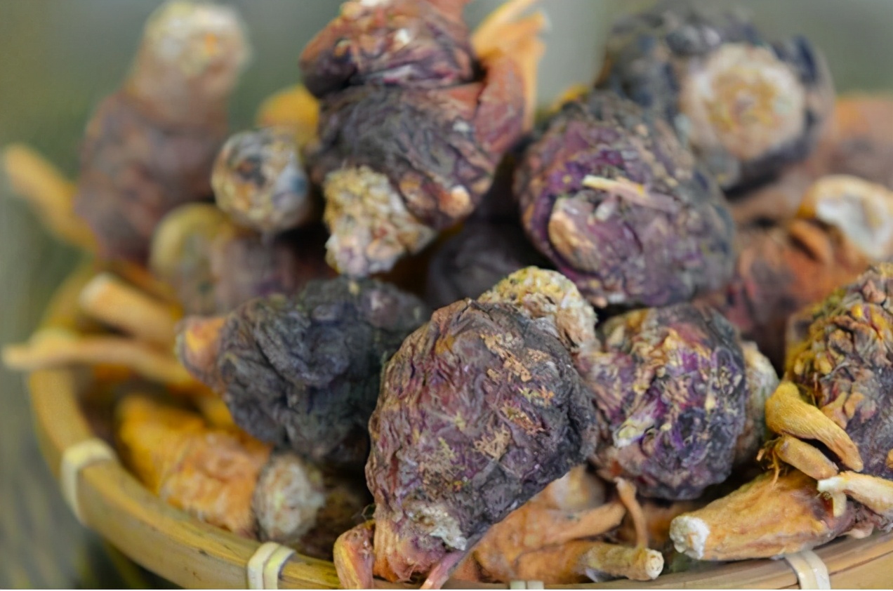 开始大家对它并不了解,只是它从表面上看上去,就像我们常见的萝卜一样