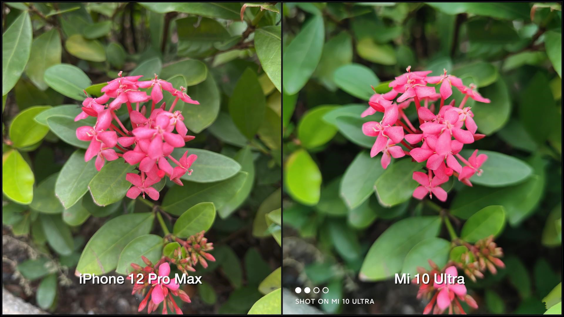 iphone12promax和小米10ultra拍照对比差距比想象的大多了