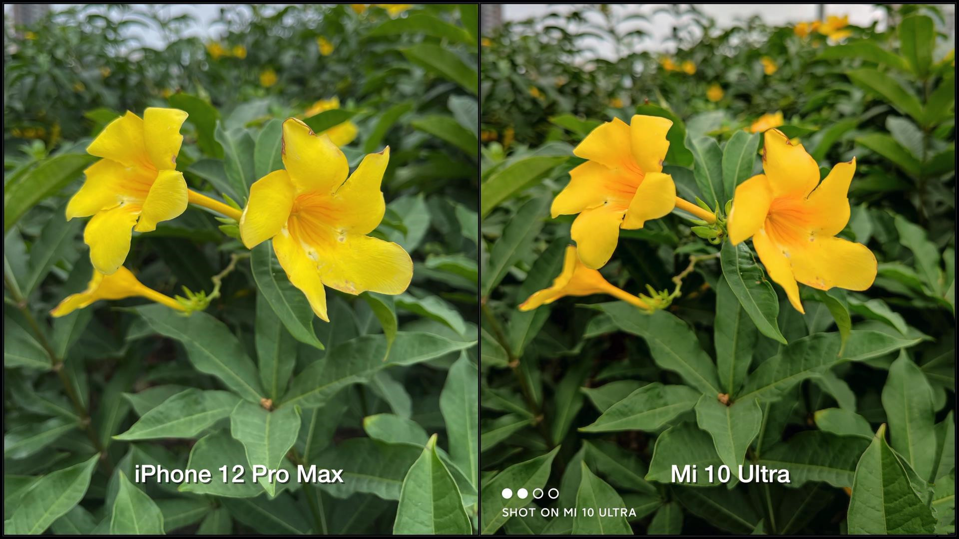 iphone12promax和小米10ultra拍照对比差距比想象的大多了
