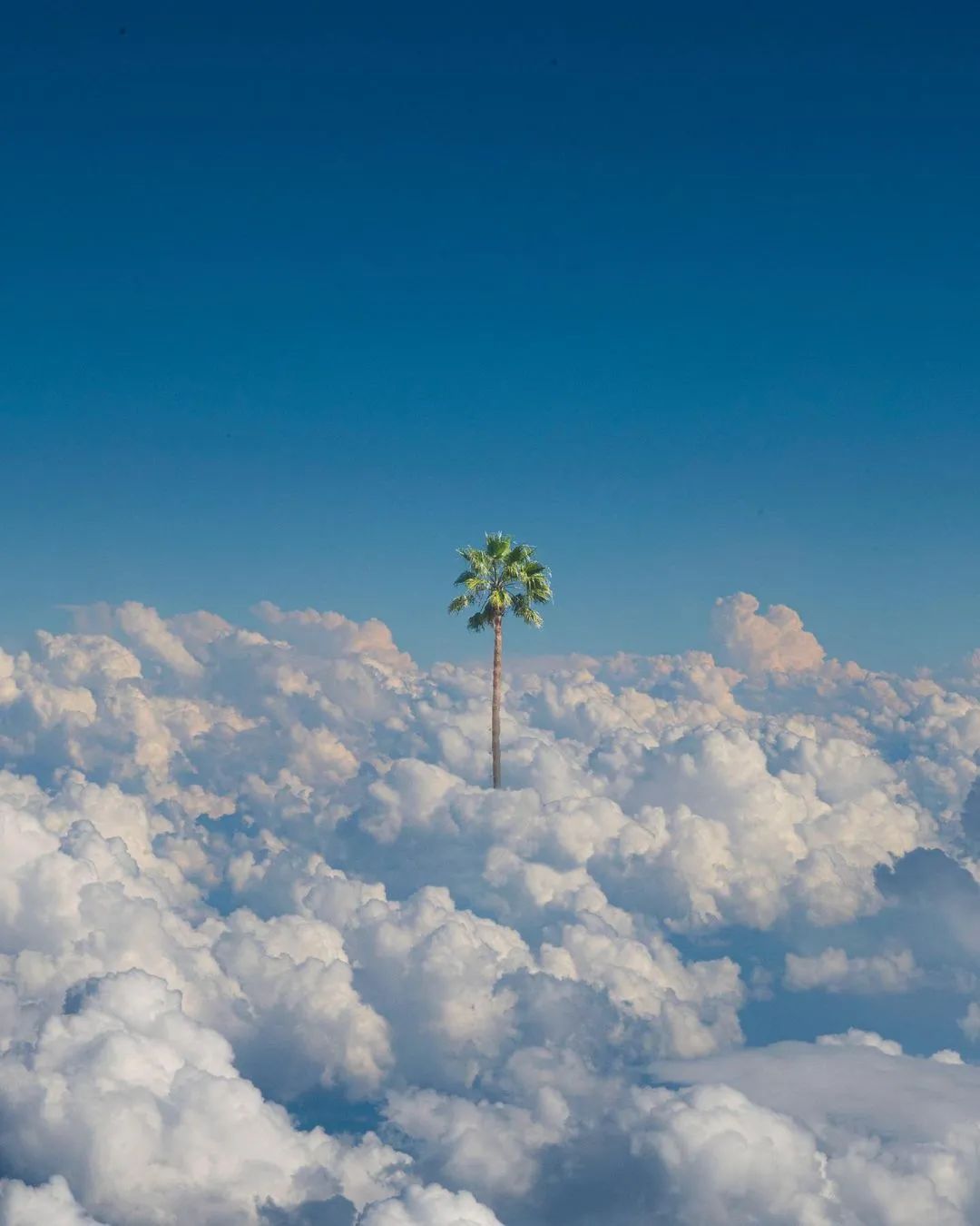 朋友圈配图俏皮的视觉艺术给你周末好心情