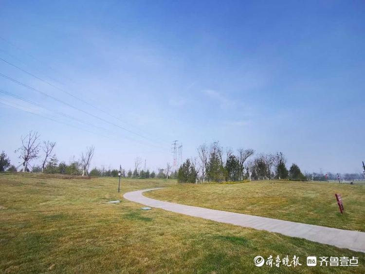 情报站|地阔天清醉人景,冬日济南长清城市中央公园呈现静谧之美
