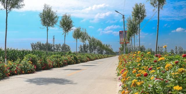 寻迹鱼台:罗屯镇"印象永安"旅游景区