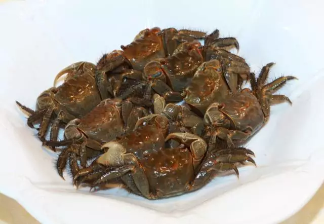 蟛蜞是螃蜞类动物中名不见经传的一种小动物,其外貌与蟹相似,但食用