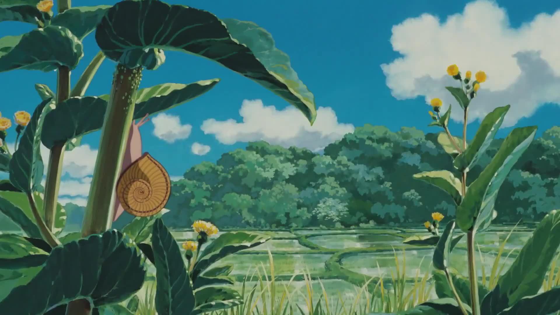 hbo max曝光吉卜力工作室动画电影30分钟混剪放松片段!