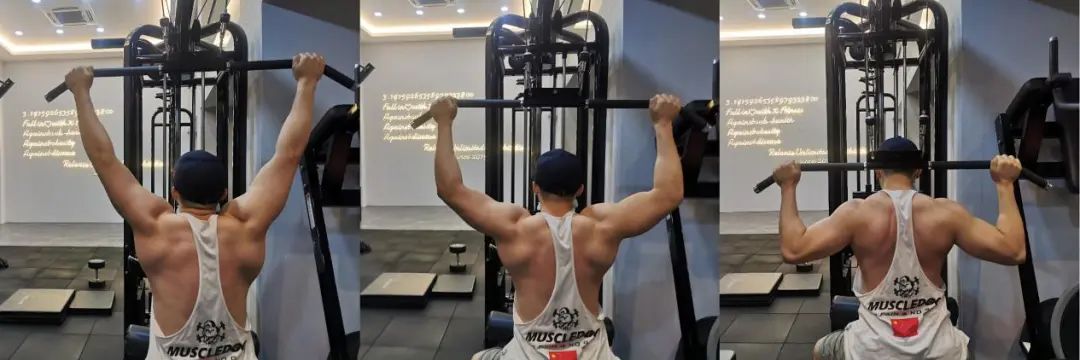 8个背部训练动作,帮你练出漂亮的"圣诞树"