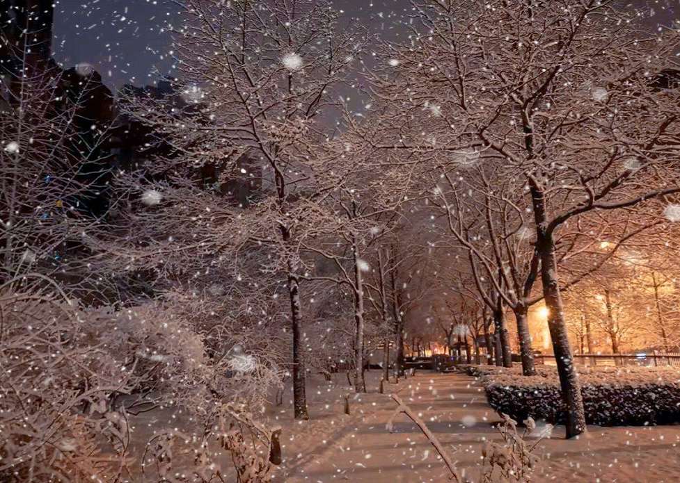 爱豆绝美雪地照金俊勉朴灿烈的男友系冈旻的下雪照最绝