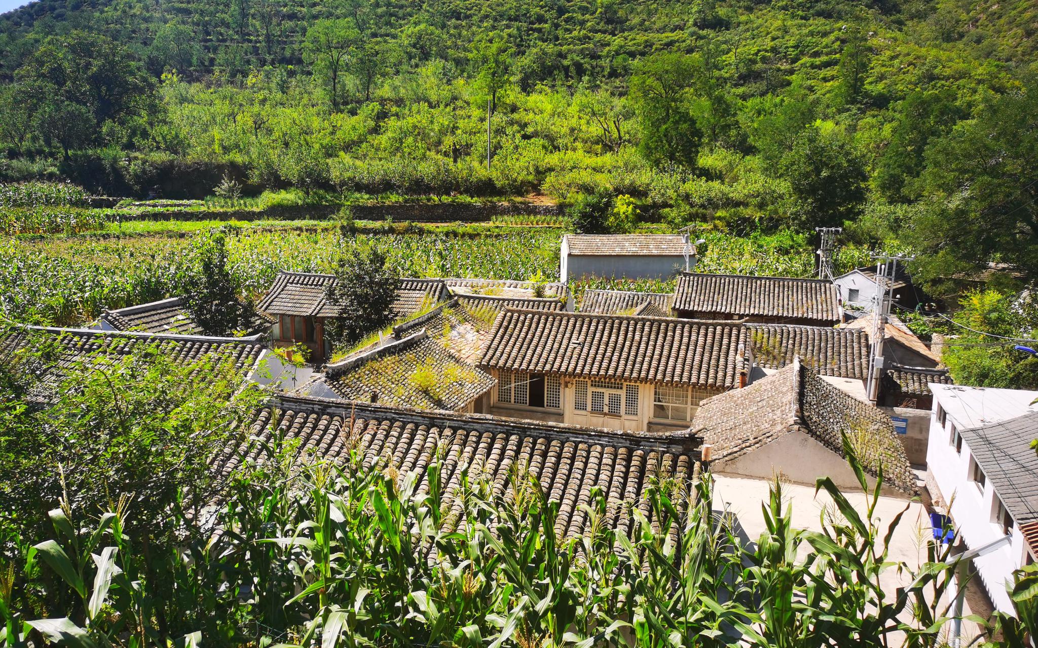 京郊万亿农村产权 如何盘活助力乡村振兴|农村集体|北京_新浪新闻