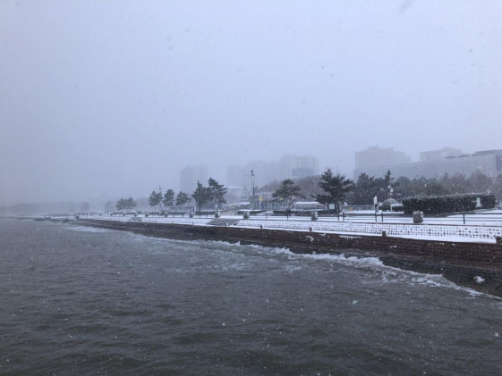 冬季到威海来看雪,记者镜头下的"雪中景 雪中人"