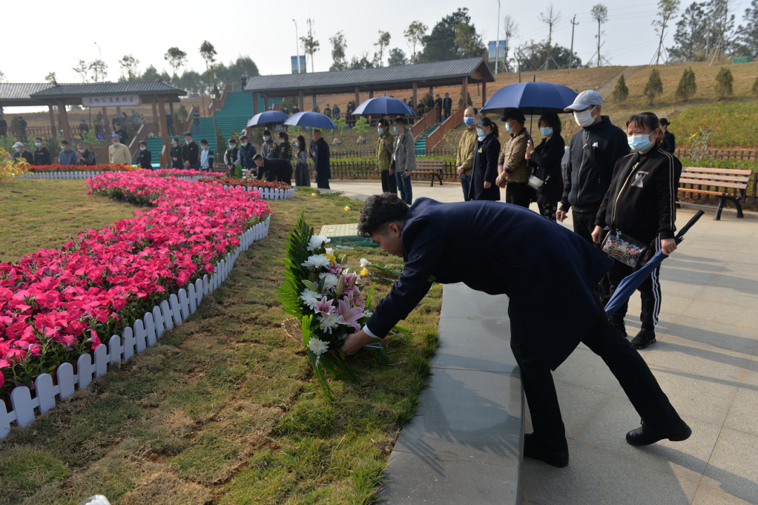 民政零距离 | 马岭公墓举行公益花坛葬 30名逝者"伴花长眠"