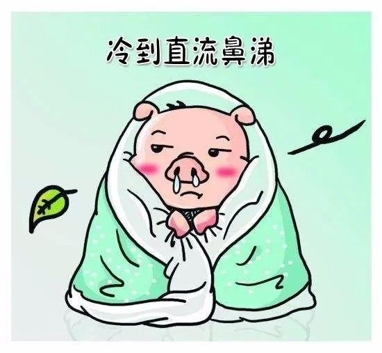 乐山冷到跳的日子,还在后头