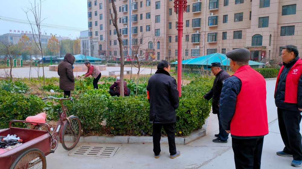 "齐"心"鲁"力|"党徽闪,啥都管" 回迁小区换新颜