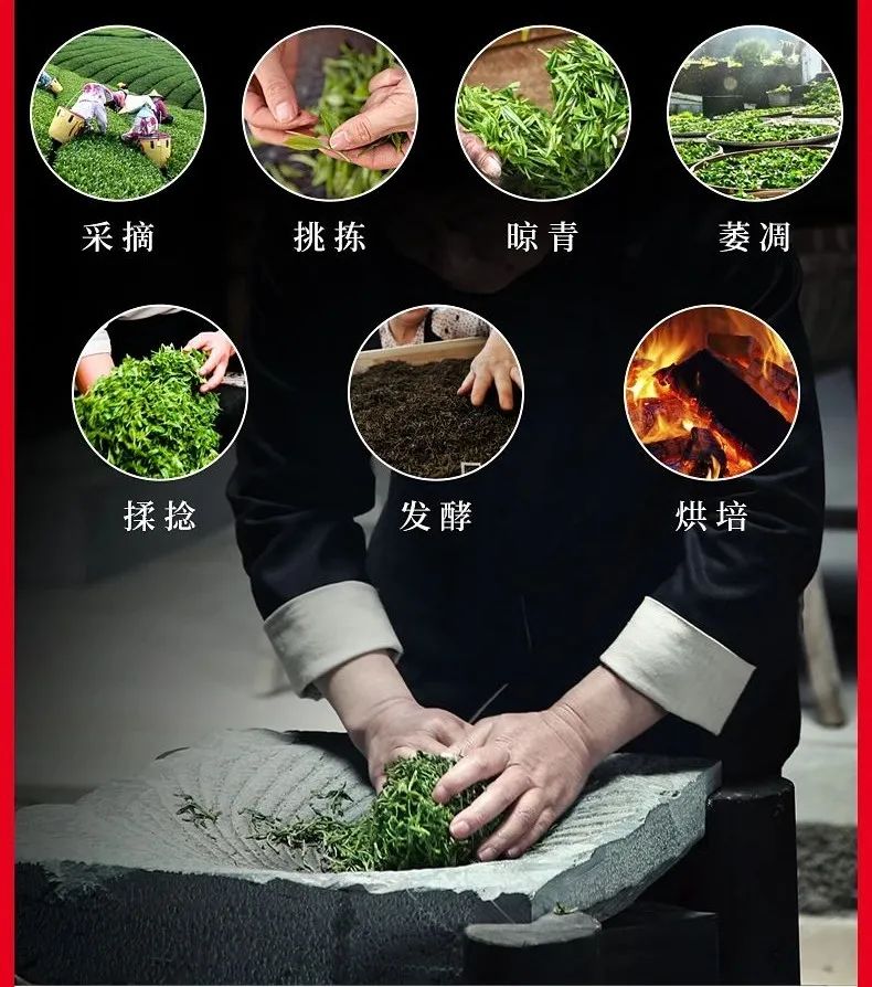 经过一系列专业的萎凋,摇青,发酵,揉捻等加工步骤而得以完成.