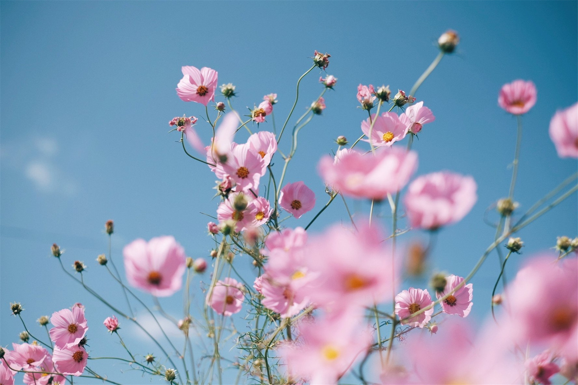 从12月16日开始运势旺盛将收获幸运抓住幸福的三大生肖
